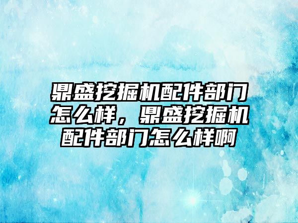 鼎盛挖掘機配件部門怎么樣，鼎盛挖掘機配件部門怎么樣啊