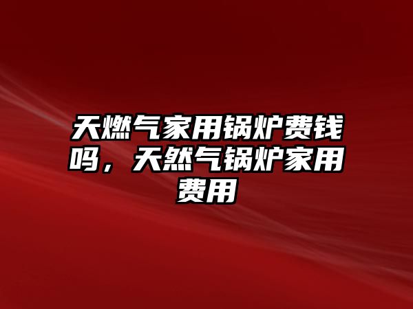 天燃?xì)饧矣缅仩t費錢嗎，天然氣鍋爐家用費用