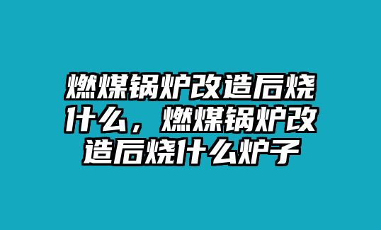 燃煤鍋爐改造后燒什么，燃煤鍋爐改造后燒什么爐子