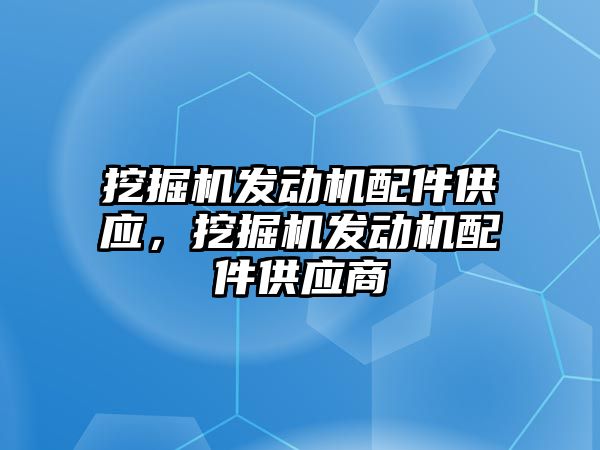 挖掘機發(fā)動機配件供應(yīng)，挖掘機發(fā)動機配件供應(yīng)商