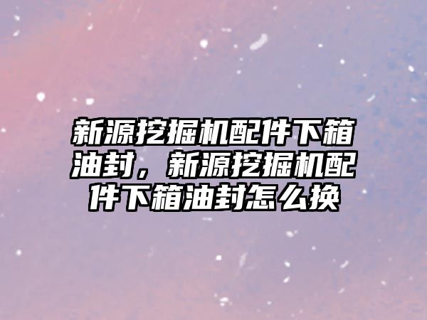 新源挖掘機配件下箱油封，新源挖掘機配件下箱油封怎么換