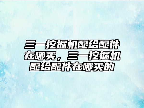 三一挖掘機(jī)配給配件在哪買，三一挖掘機(jī)配給配件在哪買的