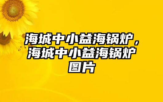 海城中小益海鍋爐，海城中小益海鍋爐圖片