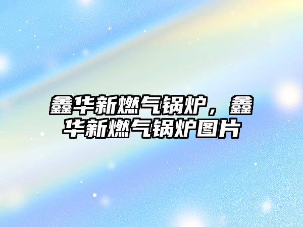 鑫華新燃?xì)忮仩t，鑫華新燃?xì)忮仩t圖片