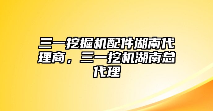 三一挖掘機配件湖南代理商，三一挖機湖南總代理