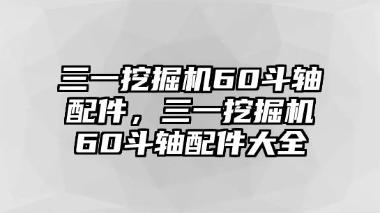 三一挖掘機60斗軸配件，三一挖掘機60斗軸配件大全