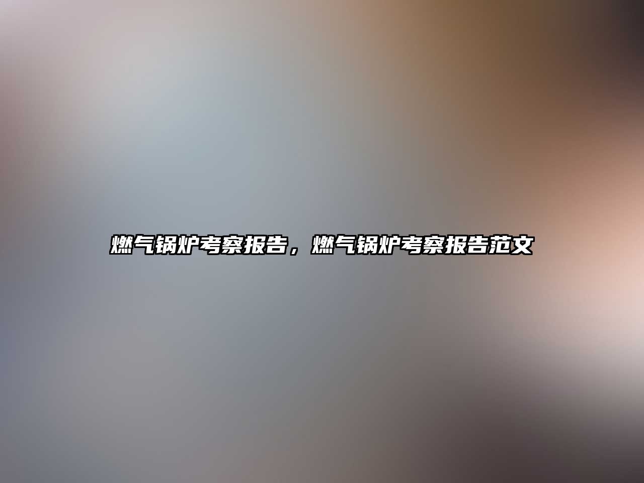 燃?xì)忮仩t考察報(bào)告，燃?xì)忮仩t考察報(bào)告范文