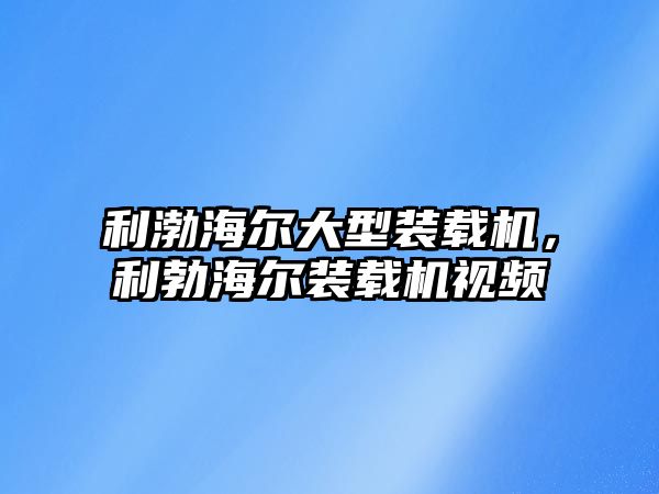 利渤海爾大型裝載機，利勃海爾裝載機視頻