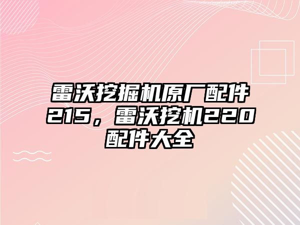 雷沃挖掘機原廠配件215，雷沃挖機220配件大全