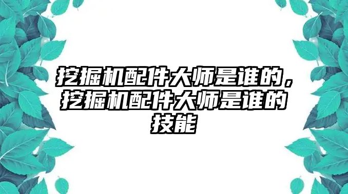 挖掘機(jī)配件大師是誰(shuí)的，挖掘機(jī)配件大師是誰(shuí)的技能