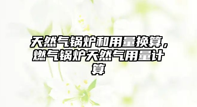 天然氣鍋爐和用量換算，燃?xì)忮仩t天然氣用量計(jì)算