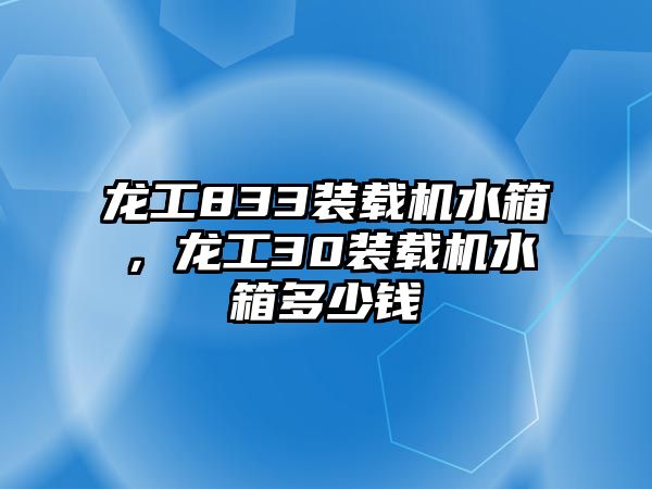 龍工833裝載機(jī)水箱，龍工30裝載機(jī)水箱多少錢