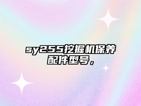 sy255挖掘機保養(yǎng)配件型號，