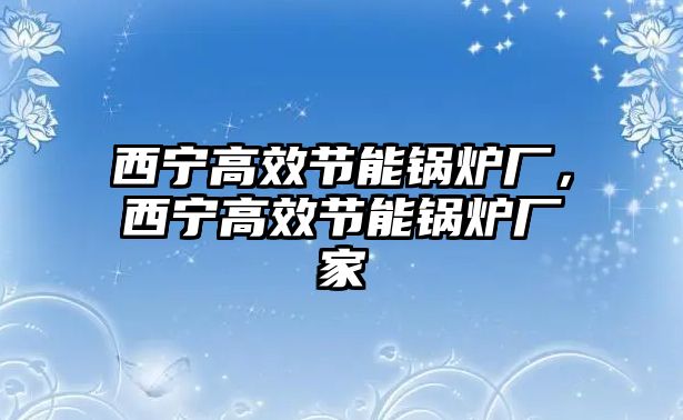 西寧高效節(jié)能鍋爐廠，西寧高效節(jié)能鍋爐廠家