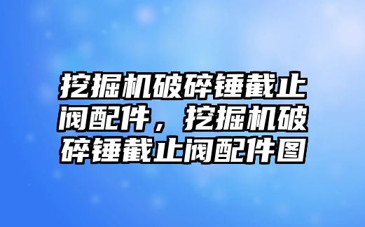 挖掘機(jī)破碎錘截止閥配件，挖掘機(jī)破碎錘截止閥配件圖