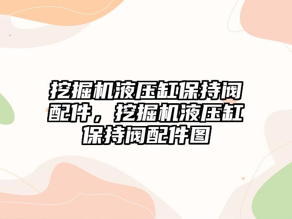 挖掘機液壓缸保持閥配件，挖掘機液壓缸保持閥配件圖