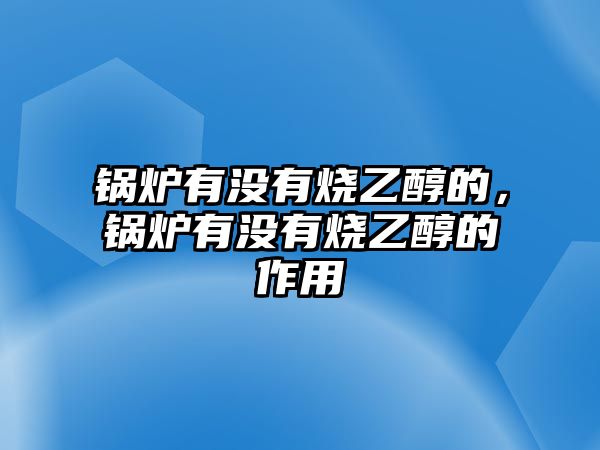 鍋爐有沒有燒乙醇的，鍋爐有沒有燒乙醇的作用