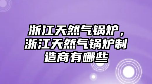 浙江天然氣鍋爐，浙江天然氣鍋爐制造商有哪些