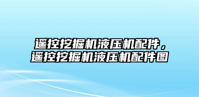 遙控挖掘機(jī)液壓機(jī)配件，遙控挖掘機(jī)液壓機(jī)配件圖