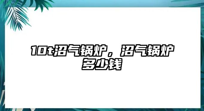 10t沼氣鍋爐，沼氣鍋爐多少錢(qián)