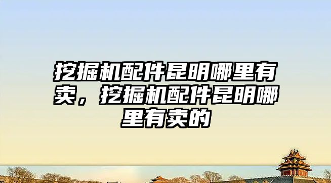 挖掘機配件昆明哪里有賣，挖掘機配件昆明哪里有賣的