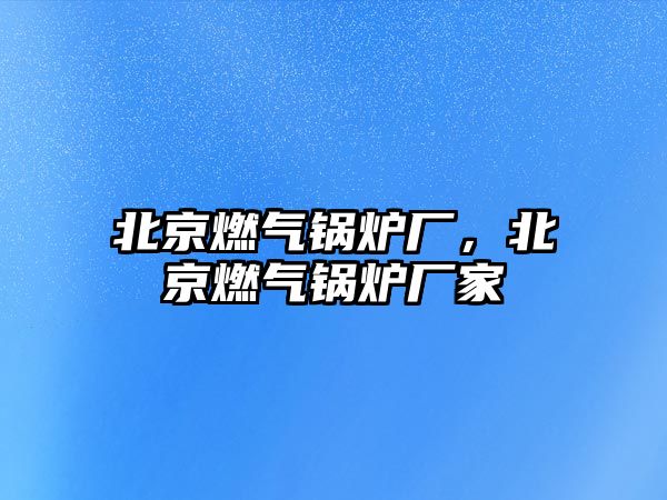 北京燃?xì)忮仩t廠，北京燃?xì)忮仩t廠家