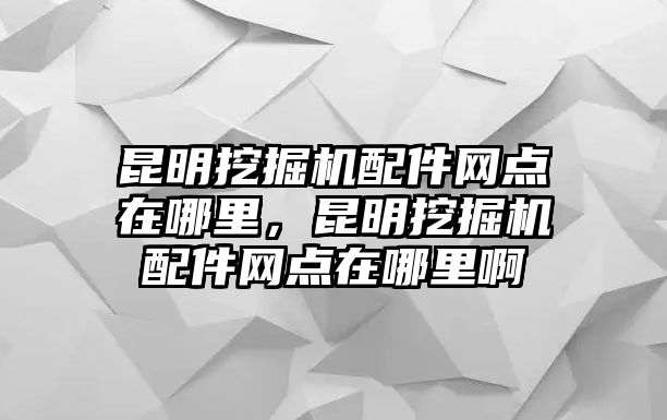 昆明挖掘機(jī)配件網(wǎng)點(diǎn)在哪里，昆明挖掘機(jī)配件網(wǎng)點(diǎn)在哪里啊