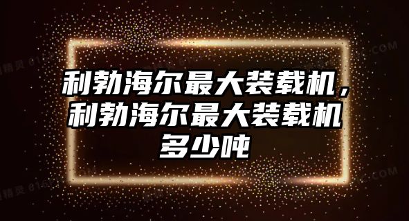 利勃海爾最大裝載機(jī)，利勃海爾最大裝載機(jī)多少噸