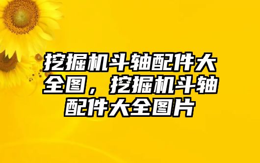 挖掘機(jī)斗軸配件大全圖，挖掘機(jī)斗軸配件大全圖片