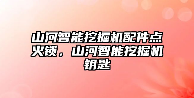 山河智能挖掘機(jī)配件點(diǎn)火鎖，山河智能挖掘機(jī)鑰匙