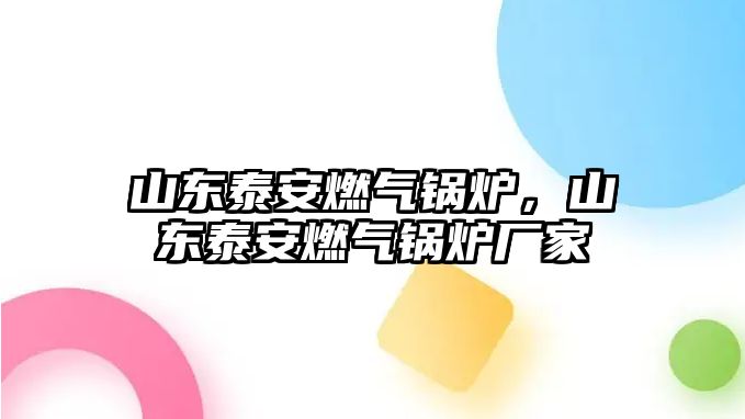 山東泰安燃氣鍋爐，山東泰安燃氣鍋爐廠家