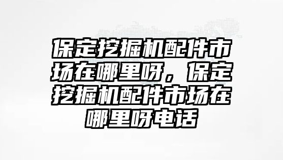 保定挖掘機配件市場在哪里呀，保定挖掘機配件市場在哪里呀電話