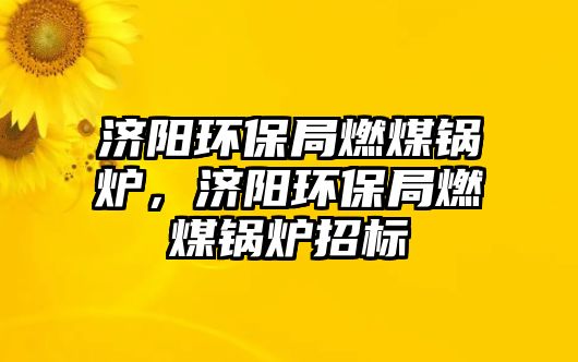 濟(jì)陽環(huán)保局燃煤鍋爐，濟(jì)陽環(huán)保局燃煤鍋爐招標(biāo)