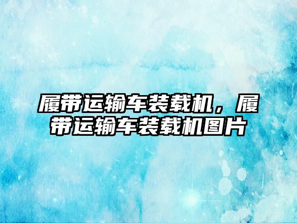 履帶運輸車裝載機，履帶運輸車裝載機圖片