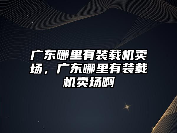 廣東哪里有裝載機賣場，廣東哪里有裝載機賣場啊