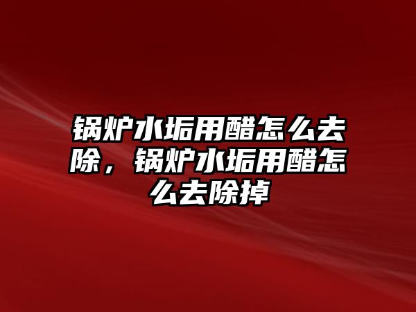 鍋爐水垢用醋怎么去除，鍋爐水垢用醋怎么去除掉