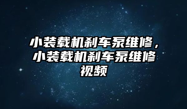 小裝載機剎車泵維修，小裝載機剎車泵維修視頻