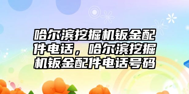 哈爾濱挖掘機鈑金配件電話，哈爾濱挖掘機鈑金配件電話號碼