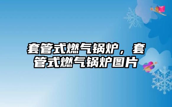 套管式燃?xì)忮仩t，套管式燃?xì)忮仩t圖片