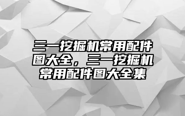 三一挖掘機(jī)常用配件圖大全，三一挖掘機(jī)常用配件圖大全集