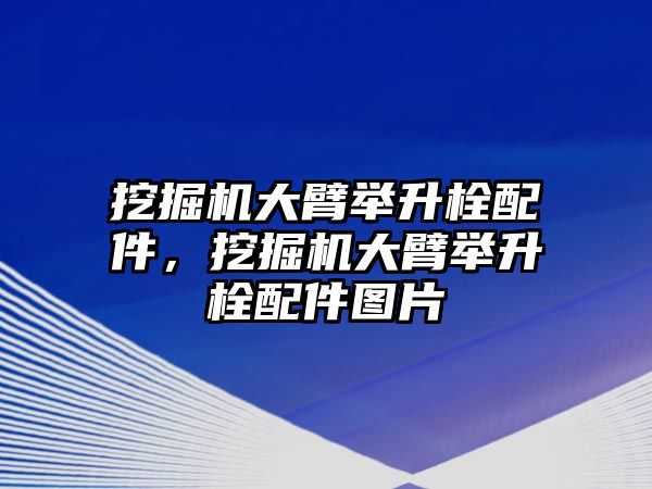 挖掘機(jī)大臂舉升栓配件，挖掘機(jī)大臂舉升栓配件圖片