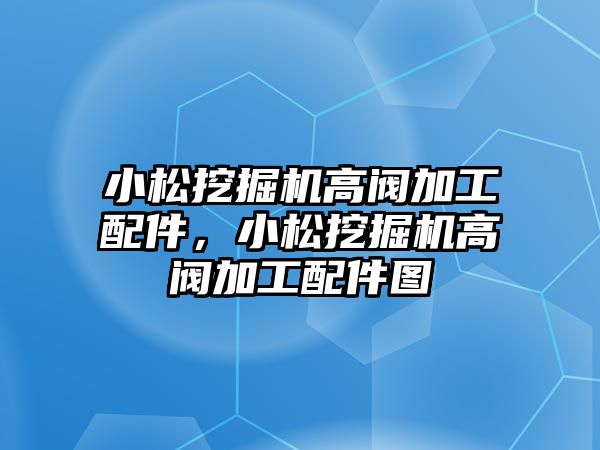 小松挖掘機(jī)高閥加工配件，小松挖掘機(jī)高閥加工配件圖