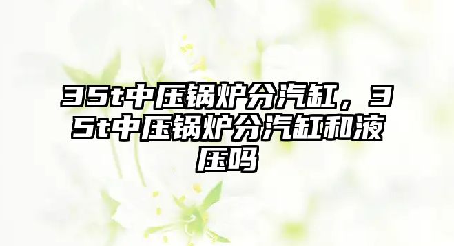 35t中壓鍋爐分汽缸，35t中壓鍋爐分汽缸和液壓嗎