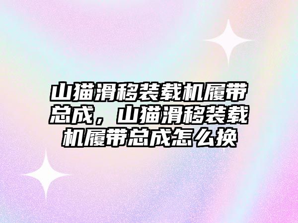 山貓滑移裝載機履帶總成，山貓滑移裝載機履帶總成怎么換