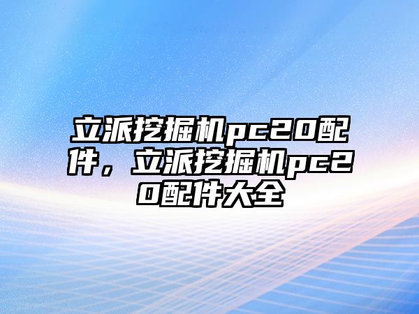 立派挖掘機(jī)pc20配件，立派挖掘機(jī)pc20配件大全