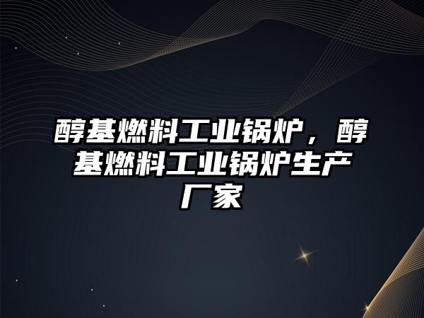 醇基燃料工業(yè)鍋爐，醇基燃料工業(yè)鍋爐生產(chǎn)廠家