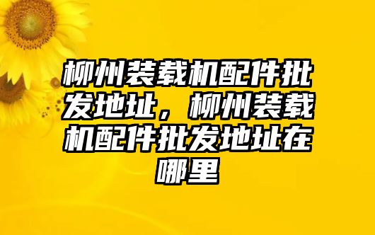 柳州裝載機配件批發(fā)地址，柳州裝載機配件批發(fā)地址在哪里