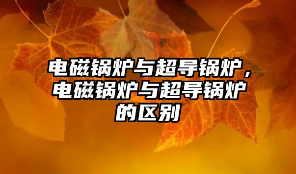 電磁鍋爐與超導鍋爐，電磁鍋爐與超導鍋爐的區(qū)別