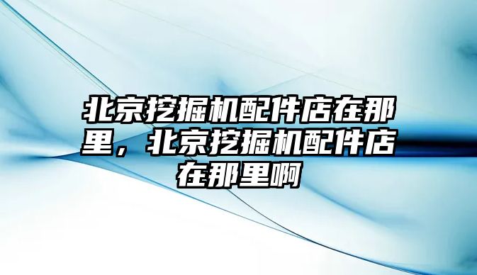 北京挖掘機配件店在那里，北京挖掘機配件店在那里啊