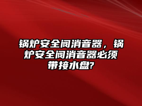 鍋爐安全閥消音器，鍋爐安全閥消音器必須帶接水盤?